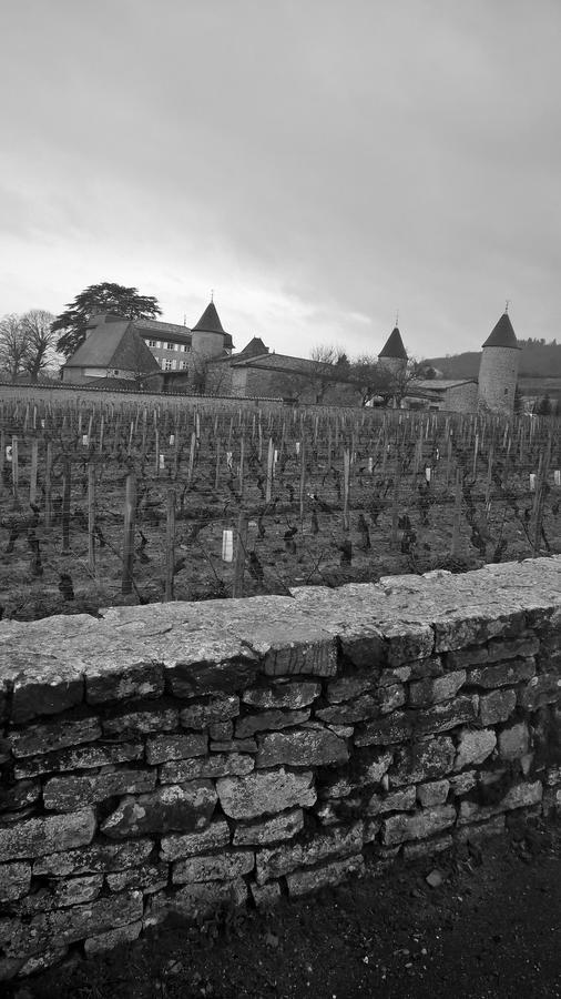 Domaine La Fontaine Du Mont Hotel Chasselas Ngoại thất bức ảnh
